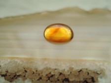 Echter Citrin oval Cabochon