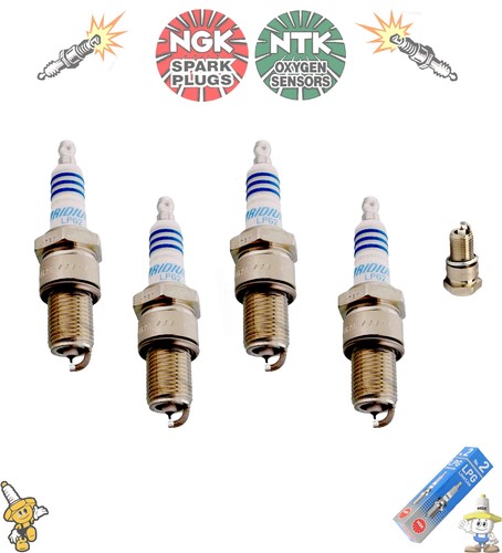 Packung neu original ngk - packung,