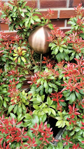 Rosenkugel edelstahl - 15,