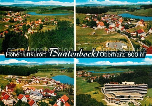 Buntenbock fliegeraufnahme - buntenbock,