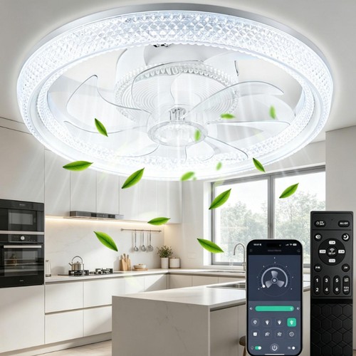 Deckenventilator mit