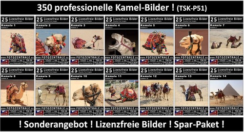 350 lizenzfreie - 350,