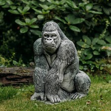 Gorilla Menschenaffe Affe