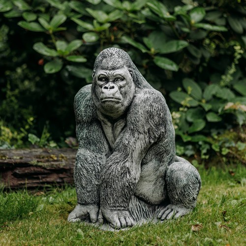 Gorilla menschenaffe affe - gorilla,