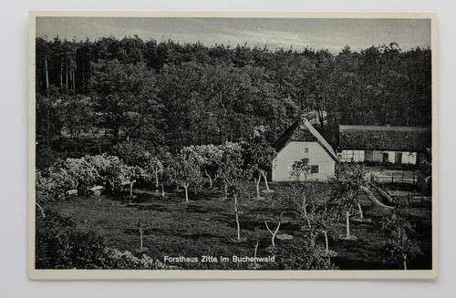Postkarte forsthaus zitta - postkarte,