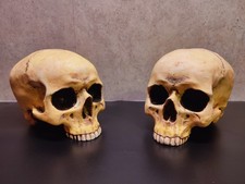 2x Totenkopf Markus Mayer