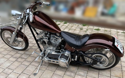 Harley davidson custom built - custom,