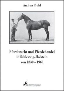 Pferdezucht und pferdehandel - pferdezucht,