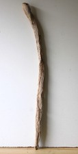 Treibholz Schwemmholz