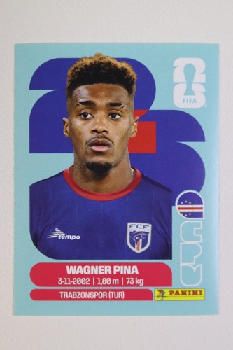 Panini 2026 sticker - panini,