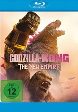 Godzilla x Kong: The New