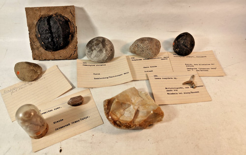 Uralt sammlung fossilien - uralt,