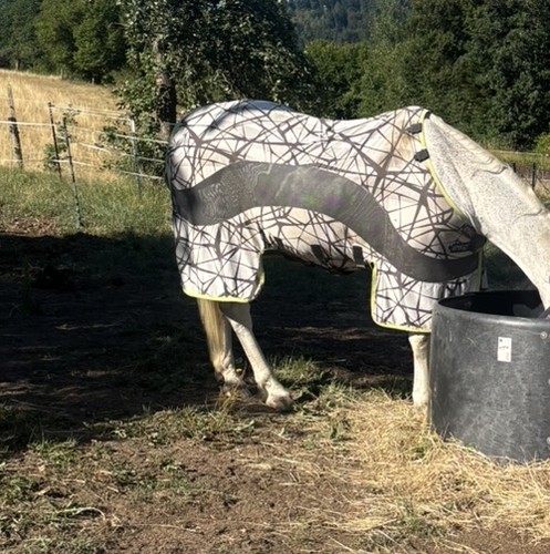 Horseware amigo camofly - amigo, 155
