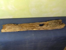 Schwemmholz Treibholz