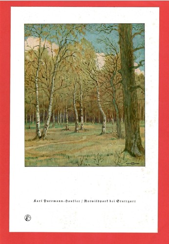 Rotwildpark bei stuttgart - bei, *