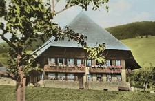 AK Schwarzwald Todtmops