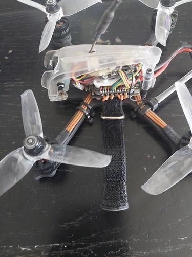 Diatone rabbit 349 - rabbit,
