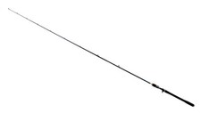 Bullseye The Dentist Cast 220 45-120g 2,20m Baitcastrute Baitcasting Rod Fuji