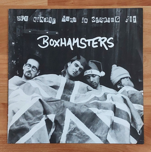 Boxhamsters die kind sind - boxhamsters,