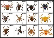 Eine Spinne Gift Vogelspinne