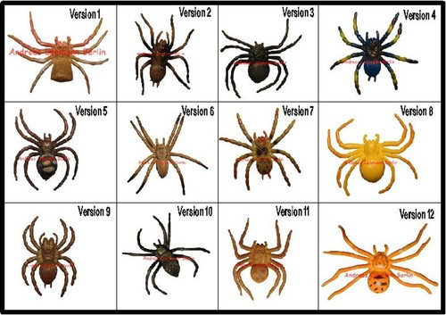 Eine spinne gift vogelspinne - eine,