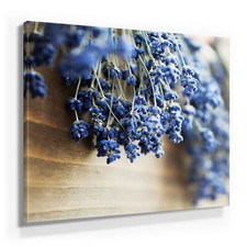 Lavendel Bilder als