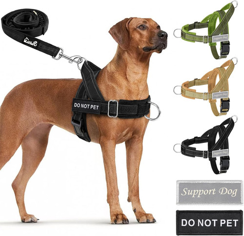 Hundegeschirr mit leine für - hundegeschirr,