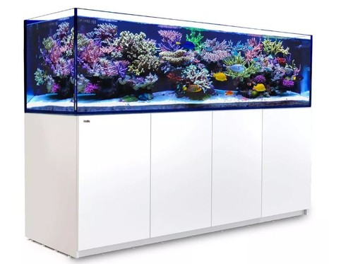Red sea reefer xxl 900 - reefer,