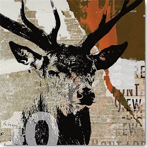 Rotwild luger 70x70 - i,