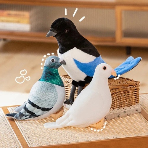 Simulation taube vogel - simulation, weiches