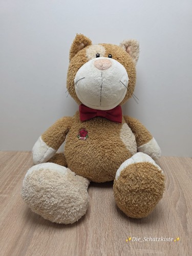 Nici kater katze - kater, love