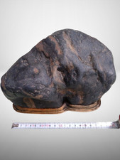 Suiseki Zierstein Sichtstein