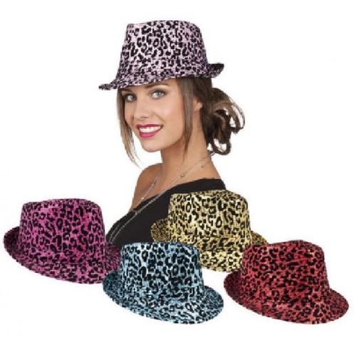 Disco safari party hippie - disco,
