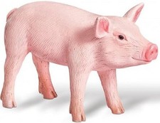 Tiptoi tiere ferkel jahre - tiere,
