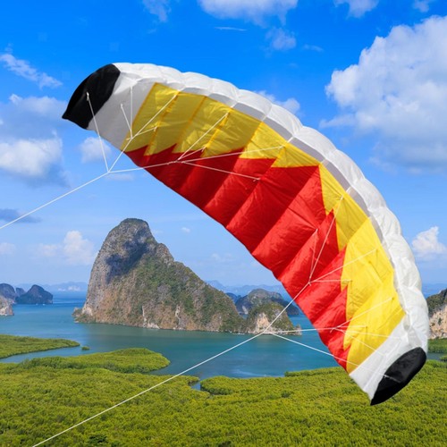 Kite easy fly - fly, professional