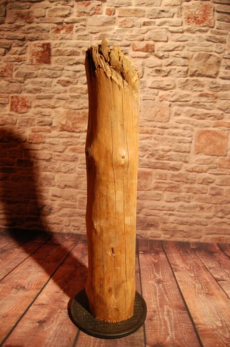 Altholz 250 jahre - altholz, ca.