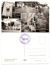 103314 - Ilfeld - Gruß vom Netzkater - Echtfoto - alte Ansichtskarte