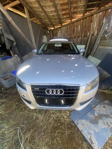 Schlachtfest audi 3 - audi, a5
