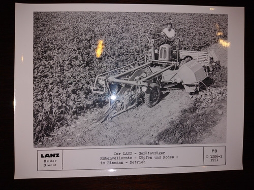 Original lanz foto alldog - original,