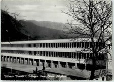 51715072 - Vittorio Veneto Collegio vesc. Dante Alighieri Treviso