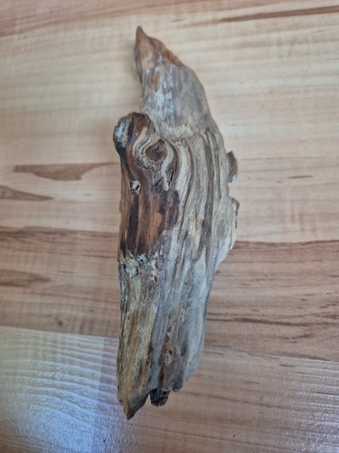 Unikat skulptur schwemmholz - unikat,