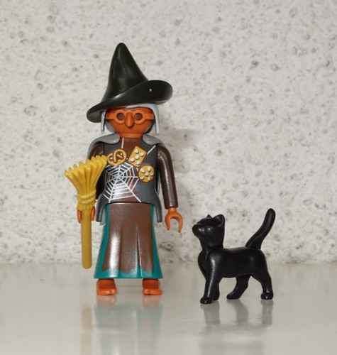 Hexe mit besen und kater - und,