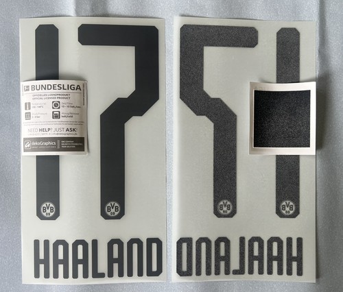 Bvb haaland flock - haaland, name