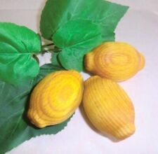 Zitrone Duftkugel Duftholz