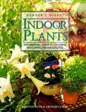 Indoor Plants:  The Essential