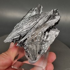 💎Video🌈Top Vitrinenstufe