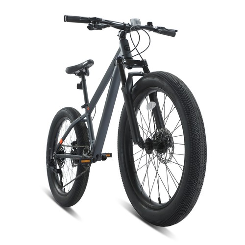 Spatial mountianbike zoll - 24,