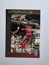 🏀 Michael Jordan | 94/95 |