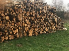 1 Ster (RM)  Brennholz,  Fichte m Stücke ca. 1 m lang