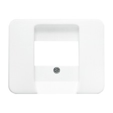 BUSCH-JAEGER ALPHA TAE ZENTRAL